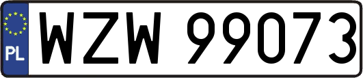 WZW99073