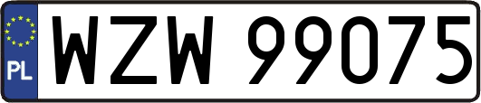 WZW99075