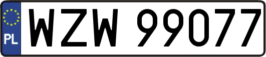 WZW99077