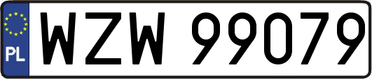 WZW99079