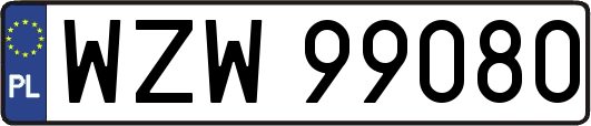 WZW99080