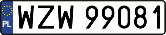 WZW99081
