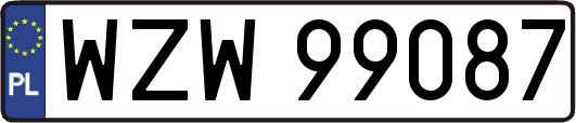 WZW99087
