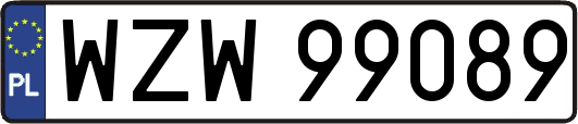 WZW99089