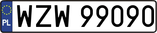 WZW99090