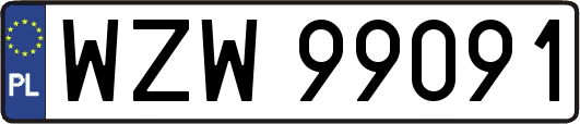 WZW99091