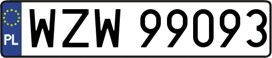 WZW99093