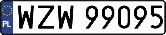 WZW99095