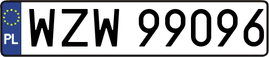 WZW99096