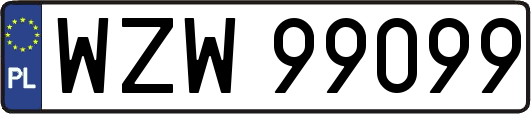 WZW99099