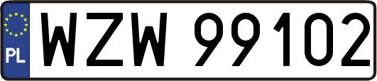 WZW99102