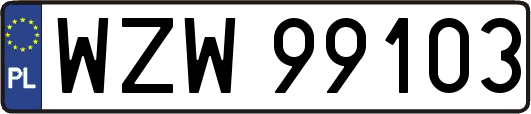 WZW99103