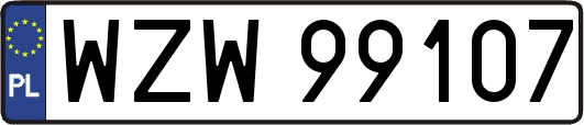 WZW99107