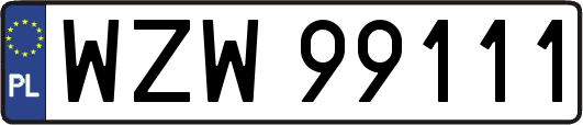WZW99111