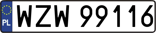 WZW99116