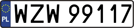 WZW99117