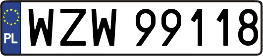 WZW99118