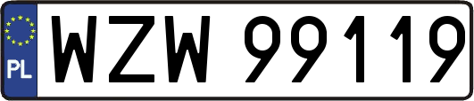 WZW99119