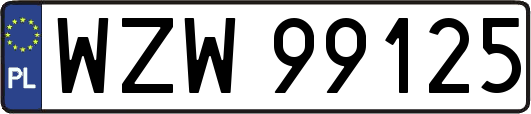 WZW99125