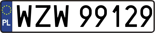 WZW99129
