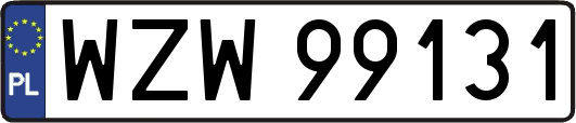 WZW99131
