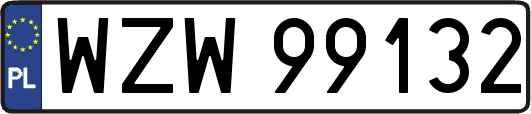 WZW99132