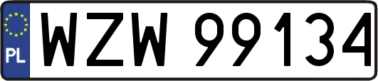 WZW99134