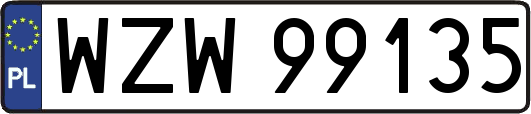 WZW99135