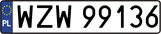 WZW99136