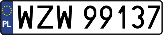 WZW99137