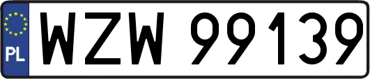 WZW99139