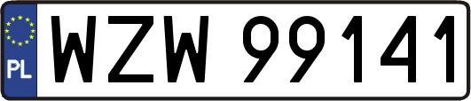 WZW99141