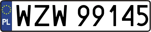 WZW99145