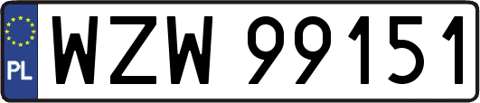 WZW99151