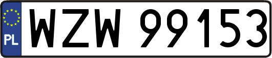 WZW99153