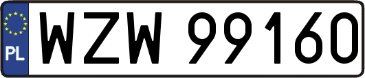 WZW99160