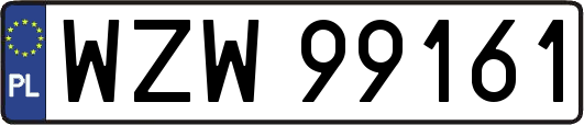 WZW99161