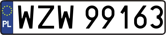 WZW99163