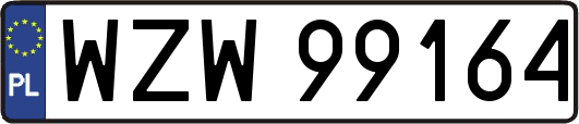 WZW99164