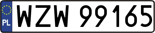 WZW99165