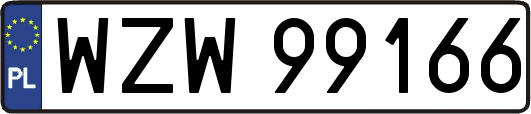 WZW99166