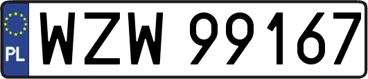 WZW99167