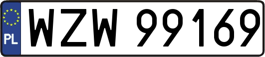 WZW99169