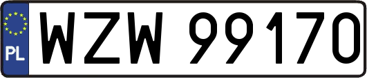 WZW99170