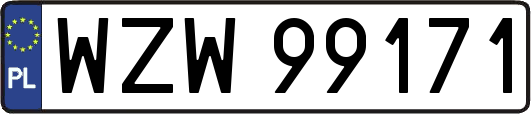 WZW99171