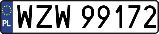 WZW99172