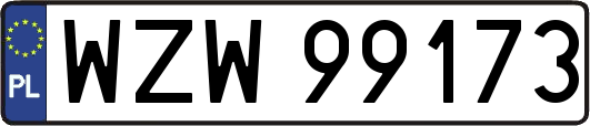 WZW99173