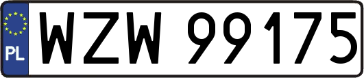 WZW99175