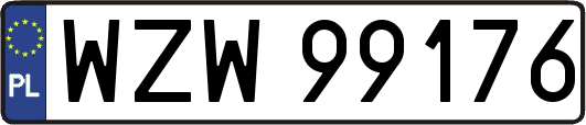 WZW99176