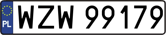 WZW99179